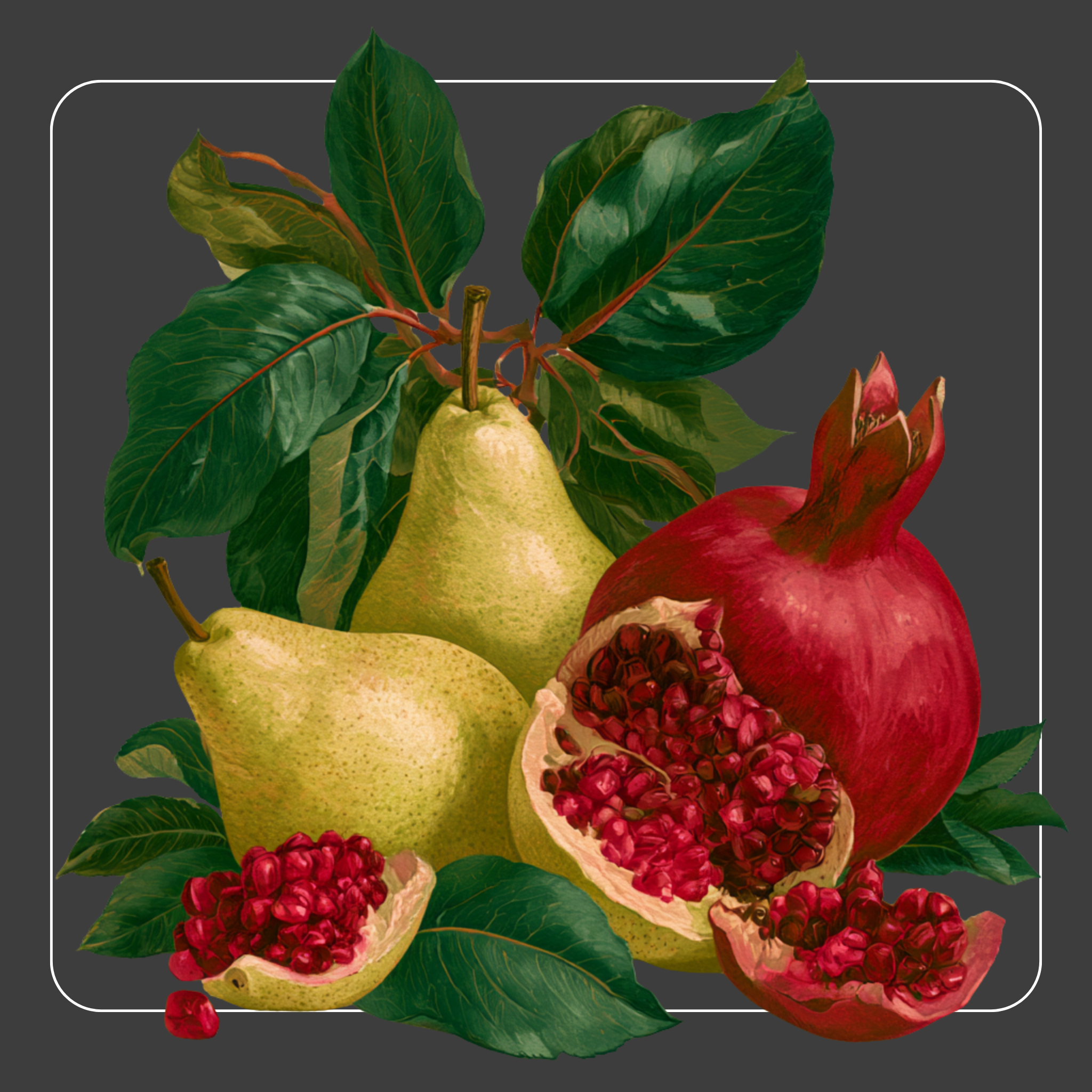 Pear & Pomegranate