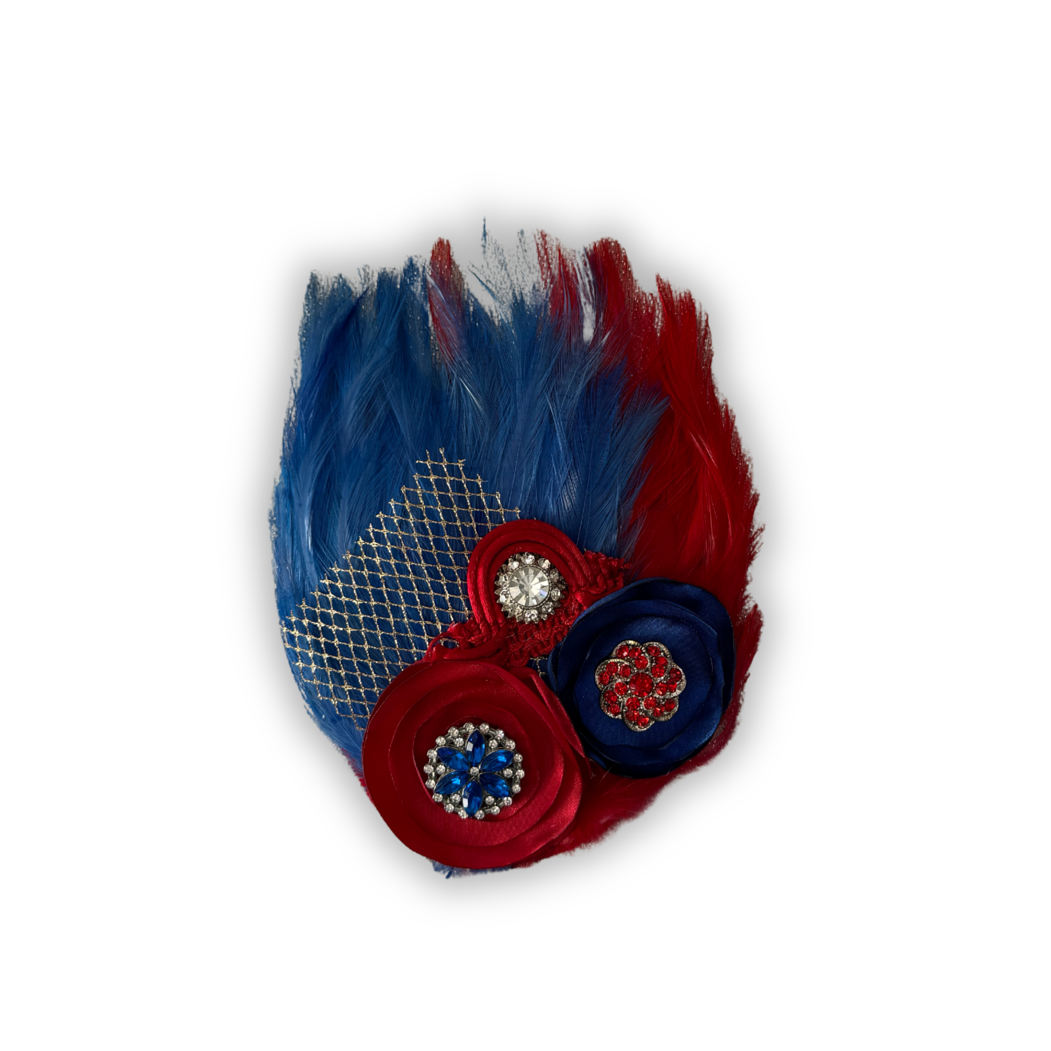 Double Feather Art Embellished Statement Pin in Red & Blue