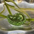Velvet Rope Hair Accessory - Green Crystal on Lime Velvet